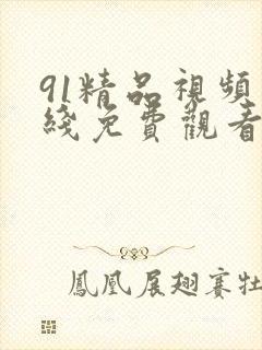 91精品视频在线免费观看封面