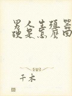 男人生殖器不够硬是怎么回事