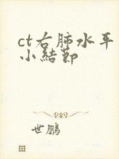 ct右肺水平裂小结节