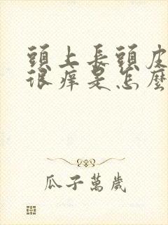 头上长头皮屑还很痒是怎么回事封面