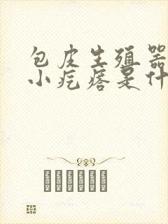 包皮生殖器上有小疙瘩是什么原因