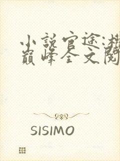 小说官途:权力巅峰全文阅读