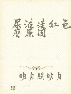 尿液淡红色是什么原因