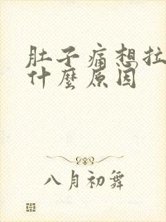 肚子痛想拉大便什么原因封面