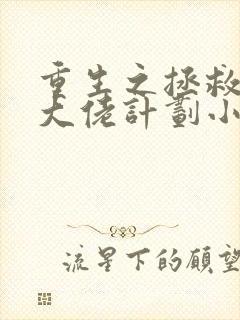 重生之拯救反派大佬计划小说