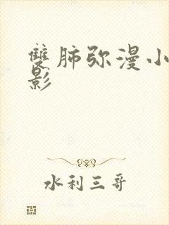 双肺弥漫小结节影