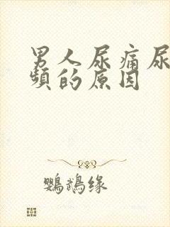 男人尿痛尿急尿频的原因