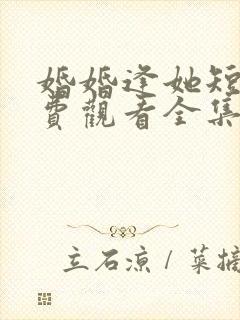 婚婚逢她短剧免费观看全集高清版