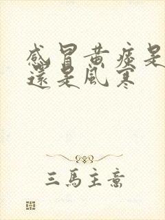 感冒黄痰是风热还是风寒