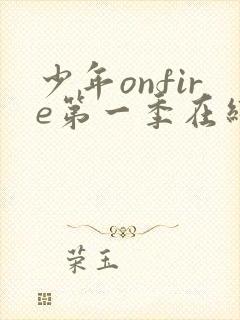 少年onfire第一季在线观看免费