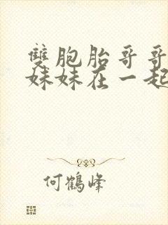 双胞胎哥哥和亲妹妹在一起的小说