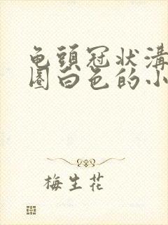 龟头冠状沟有一圈白色的小疙瘩