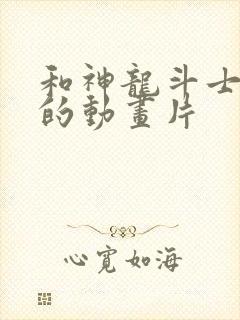 和神龙斗士很像的动画片