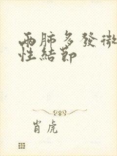 两肺多发微小良性结节封面