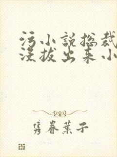 污小说总裁整夜没拔出来小说在线阅读