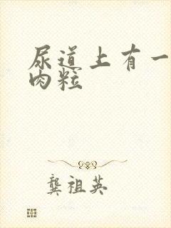 尿道上有一个小肉粒