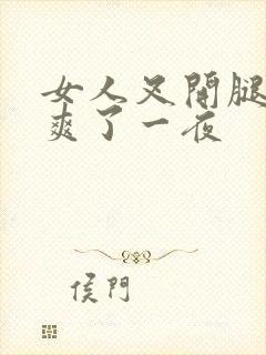 女人叉开腿让我爽了一夜封面