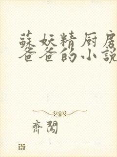 苏妖精厨房爹爹爸爸的小说