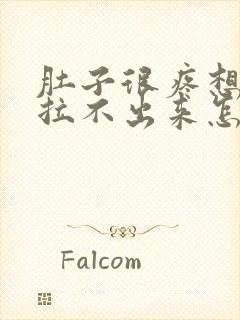 肚子很疼想拉屎拉不出来怎么回事