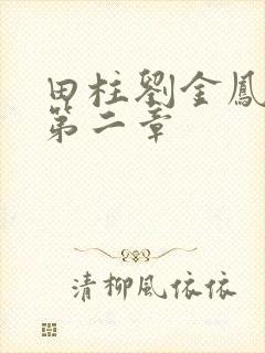 田柱刘金凤小说第二章封面