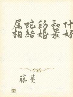 属蛇的和什么属相结婚最好