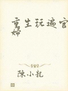 重生玩遍官场贵妇