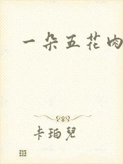 一朵五花肉