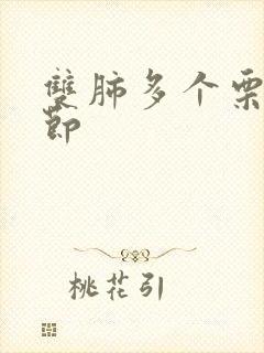 双肺多个栗粒结节