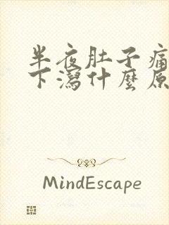 半夜肚子痛上吐下泻什么原因