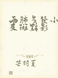 两肺多发小结节及斑点影