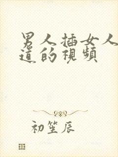 男人插女人的阴道的视频