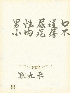 男性尿道口长个小肉疙瘩不痛不痒封面