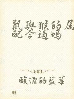 鼠与猴的属相婚配合适吗