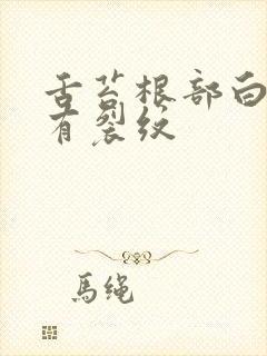 舌苔根部白腻厚有裂纹