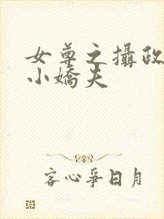 女尊之摄政王的小娇夫封面