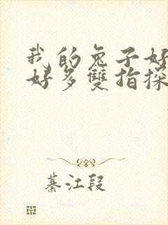 我的兔子好软水好多双指探洞小说封面