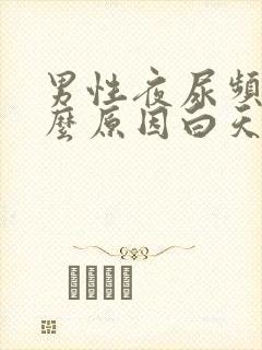 男性夜尿频多什么原因白天正常