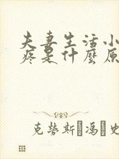 夫妻生活小肚子疼是什么原因女性