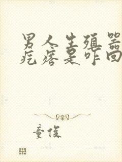 男人生殖器张了疙瘩是咋回事