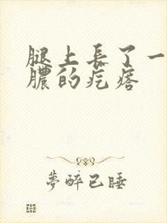 腿上长了一个有脓的疙瘩