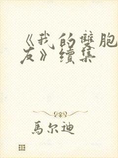 《我的双胞胎女友》续集