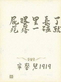 屁眼里长了个硬疙瘩一碰就很疼