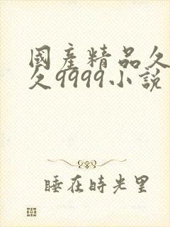 国产精品久久久久9999小说