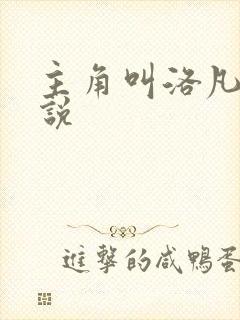 主角叫洛凡的小说