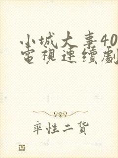 小城大事40集电视连续剧免费观看