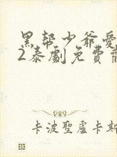 黑帮少爷爱上我2泰剧免费观看