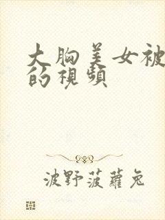 大胸美女被人操的视频