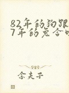 82年的狗跟87年的兔合吗