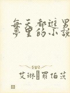 每天都进男神的梦里的小说