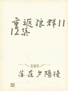 重返狼群11和12集